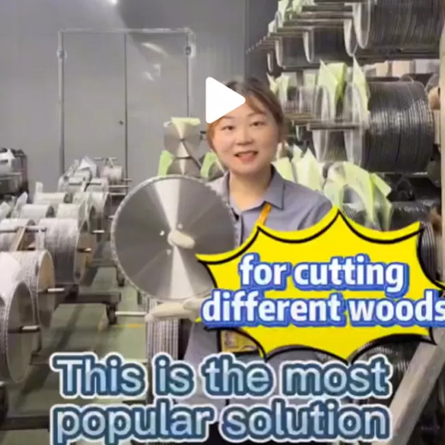 Do you know the Tt teeth